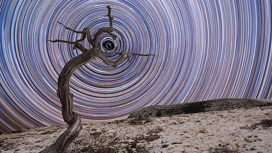 Universum Bij Blog Ad